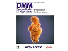 DMM cover